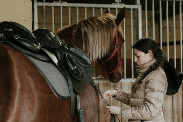 Découvrez la selle de cheval idéale pour chaque discipline