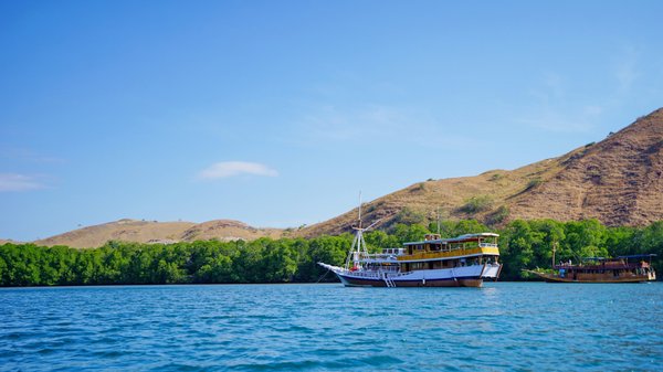 A la découverte des merveilles historiques en Jordanie et en Égypte !